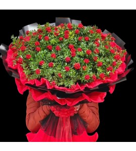 Jumbo Boy Kokina Tanzim